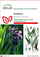 SAFLAX - kostihoj - Symphytum officinale - 15 Semená