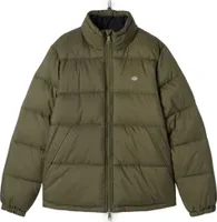 DICKIES Kurtka Mężczyźni Poliester Zielony GR72399 - Rozmiar: M
