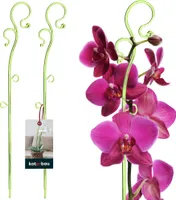 KOTARBAU® Sada 2 podpěr pro rostliny zelená PVC 39 cm podpěra pro květiny pomůcka pro šplhání pokojové rostliny podpěra pro květiny zahradní orchideje podpěra pro rostliny dekorativní držák rostlin pokojové rostliny šplhací tyče