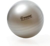 TOGU Powerball Premium ABS 45 cm silber