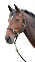 Shires Pferdehalfter ER336 (Cob) (Schwarz)