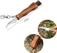 Pilzmesser mit Bürste, Lineal und Echtholzgriff, Schwammerlmesser, Mushroom Knife