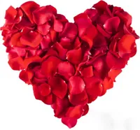 1000 Rosenblätter Rosenblüten Rosen Blütenblätter Hochzeit Valentinstag Deko rot