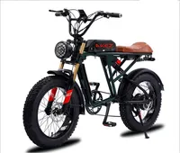 E-Bike AKEZ S2 13AH 20Zoll 7 Gang Elektrofahrrad E-Bike LCD Drei Modi, 7 Gang, Kettenschaltung, Motor: 48V Hochgeschwindigkeitsmotor,Grün