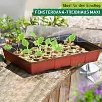 Zimmergewächshaus Maxi mit 24 Quelltabletten 33x22x11cm