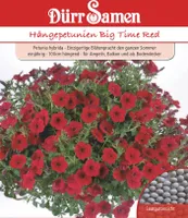 Dürr-Samen - Petunien Big Time Red einjährig 100 cm - Saatgut - 1093