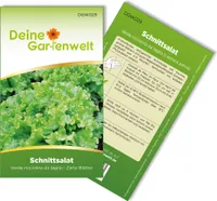 Schnittsalat Verde ricciolina da taglio Samen - Lactuca sativa - Schnittsalatsamen - Gemüsesamen - 3 g Saatgut