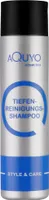 Style & Care Tiefenreinigung Shampoo zur Haarpflege, entfernt Klebereste und Rückstände aus dem Haar (250ml) | Reinigungsshampoo und Pflegeshampoo ein Einem | ohne Silikone, Salze oder Parabene