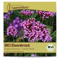 Samenliebe BIO Eisenkraut Samen alte Sorte Echtes Eisenkraut - violette Blüten 1000 Samen samenfestes Blumen Saatgut für Garten und Balkon BIO Blumensamen