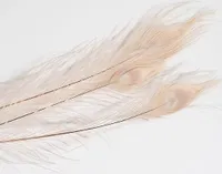 Pfauenfeder, gebleicht, 1 Stück, Größe ca. 90-100cm | Weiße Pfauenfeder