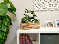 Blumenkasten aus Holz mit Einsatz M - 40 x 15 x 12,5cm