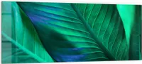 DEQORI Küchenrückwand Glas 125x50 cm 'Tropenblattstruktur' Spritzschutz Bad Rückwand