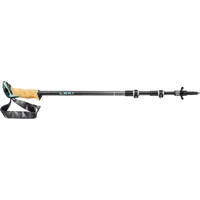 Leki Cressida AS Brown Metallic/Chocolate Brown Metallic/Mint 90 - 125 cm Trekkingstöcke