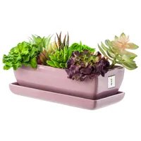 Blumentopf Blumenübertopf Rose Kaktenschale mit Untersetzer Rechteck LxBxH 15 cm x 29 cm x 9 cm Oberfläche Glanz Kakten Keramik Modern Glamour