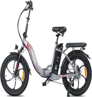 Elektrofahrrad FAFREES F20 - 250W Motor 576WH Akku 70KM Reichweite - Grau