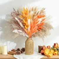 100 Stück Pampasgras, 40cm Trockenblumen Pampas Grass, Natürliche Getrocknete Blumen DIY Pampasgras Phragmiten Home Party Deko, Wohndekorationen