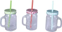 Trinkglas mit Deckel und Trinkhalm - 450 ml - 1 Stück
