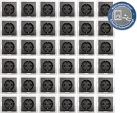 Schutzkontakt-Steckdose McPower ''Flair'' 250V/16A, UP, Klemmanschluss, 36er-Pack