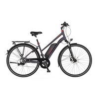 FISCHER Damen Trekking E-Bike VIATOR 1.0 - 28 Zoll, RH 44 cm, 422 Wh Geneneralüberholt Preis für Artikelzustand: