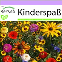 SAFLAX - Wildblumen: Kinderspaß - 1000 Samen - 11 Wildflower Mix