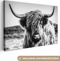 MuchoWow® - Plátno - Škótsky horal - Príroda - Krava - Čierna - Biela, nástenný obraz, nástenné dekorácie obrazy obývacia izba, 120x80cm