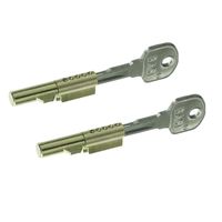 BASI - Schlüssellochsperrer - SS 12 - Gleichschließend - je 2 Schlüssel - 2er SET - 9000-1201
