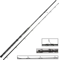 Zeck Buddy 2,90m – 300g Wallerrute