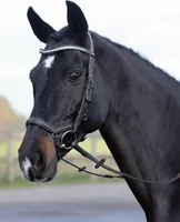 BUSSE Trense Emotion Reithalfter Trensenzaum mit Zügel Braun/ Kristall Pony