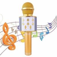 Wireless Bluetooth Karaoke Mikrofon Lautsprecher Handheld Mic KTV Microphone USB Gold