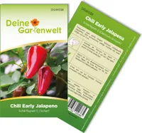 Chili Early Jalapeno Samen - Capsicum annuum - Chilisamen - scharfe Sorte - Gemüsesamen - Saatgut für 5 Pflanzen