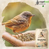 25 kg Streufutter *SCHALENLOS* Vogelfutter