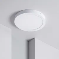 LED-Deckenleuchte 24W Rund Ø295 mm 3000K Warmweiß