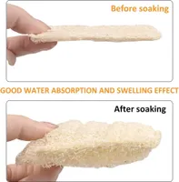 Natur Luffa Schwämme -  Geschirrschwamm, - Küche - Bad - Haushalt - Schwamm - Loofah