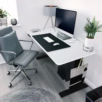HOME DELUXE - Höhenverstellbarer Schreibtisch LUMINA - Gestell: Schwarz, Platte: Weiß, Maße: 160 x 80 cm, Kohlenstoffstahl, inkl. PC-Halterung, USB Stecker und Aufbewahrungstasche I Arbeitsplatz Bürotisch
