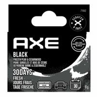 AXE Lufterfrischer REFILLABLE STICKS Black (2er Nachfüllpackung)