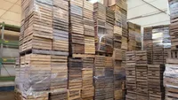 20 x Obstkisten als 2te Wahl Weinkisten Apfelkisten Holzkisten Vintage