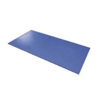 AIREX® Kissen Herkules blau, 200 x 100 x 2,5 cm