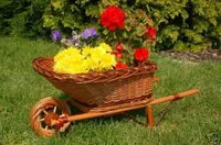 Schubkarre in Korbgeflecht, Rattan, Körbe, Pflanzkorb, Pflanzkarre, Weide, 65 cm