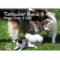 Tierzauber Hund und Katz DIN A3 Kalender - Immerwährender Kalender  Haustiere - Seelenzauber