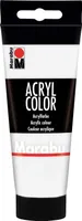 Akryl Color 100ml 070 Weiß