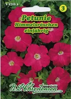 Petunie Himmelsröschen | Petuniensamen von N.L. Chrestensen