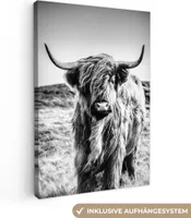 OneMillionCanvasses® - Plátno - Skotský horal - Příroda - Kráva - Černá - Bílá, nástěnné umění, nástěnné dekorace Obývací pokoj, 80x120cm