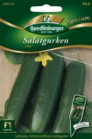 Quedlinburger Saatgut - Freilandsalatgurken Silor - Samen - 290228