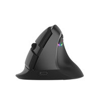 Delux M618mini Wireless Mouse Ergonomische Vertikale Optische Maus RGB-Licht Dual Mode Maeuse 2,4 GHz Wireless + Bluetooth 4.0 fuer PC Laptop (Eisengrau)