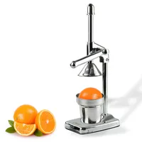 Saftpresse DSP1M