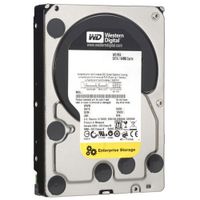 Western Digital WD1003FBYX RE4 1TB interne Festplatte (8,9 cm (3,5 Zoll), 7200rpm, SATA 3Gb/s, 64MB Cache)   Baujahr 2011-2013