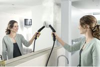 Dampfreiniger SC 4 EasyFix Iron