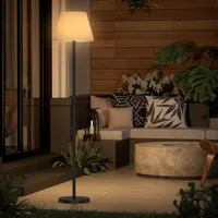 ANTENLIC Outdoor Solar Stehlampe, Kabellose Stehleuchte USB mit Aufladbar akku, RGB Garten Fernbedienung Dimmbar, Lichtsensor, IP65 Wetterfest, H147cm