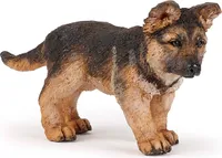Deutscher Schäferhund Welpe