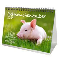 Schweinchenzauber DIN A5 Tischkalender für 2024 Schwein Schweinchen - Seelenzauber